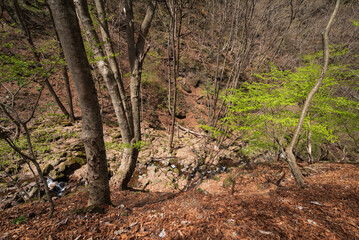 Obraz premium Climbing Mount Ryokami, Saitama, Japan