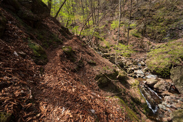 Climbing Mount Ryokami, Saitama, Japan