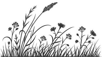 Silhouette of Wild Grass and Flowers in a Field.