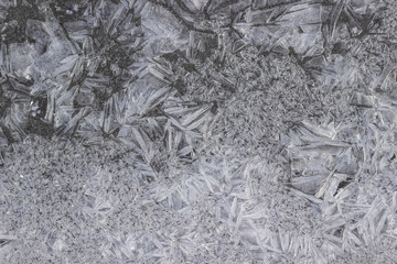 Elongated white crystals in frozen water. View from above.
