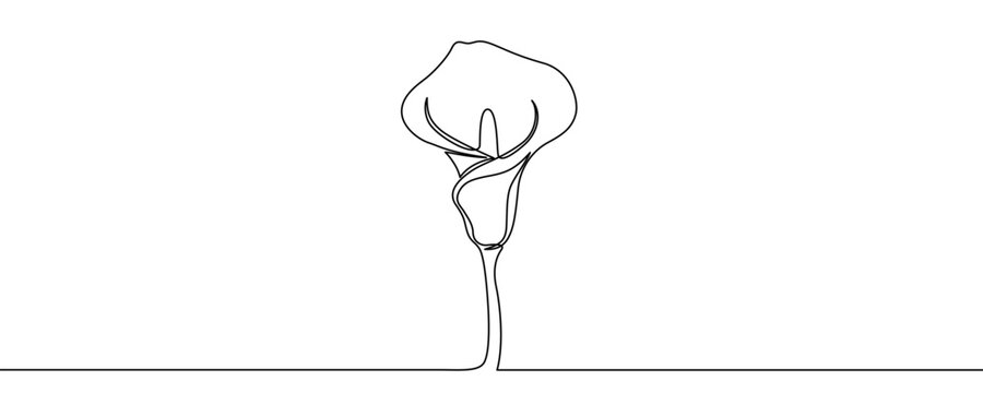 Stylized Calla lily or similar flower on a long stem. Symbol of beauty, elegance, purity, wedding, or nature in one line art style with editable black stroke. Vector illustration.