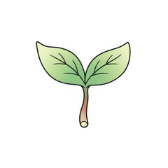 Simple green sprout with two leaves and a brown stem isolated on a transparent background seedling plant