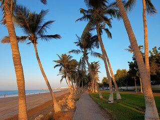 Al Qurum beach and waterfront walking area among the palm trees at sunset in Muscat, Oman