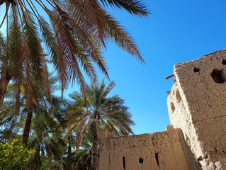 Old historical buildings around Nizwa Fort surrounded by palm trees in Oman