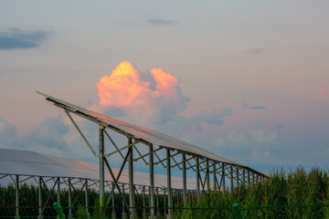 Symbiosis of industrial solar photovoltaic array and agricultural corn, China