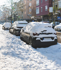 Snow covered cars parked on city street 