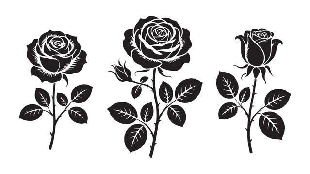 Set elegant floral dividers: detailed, hand-drawn, leaf and flower designs