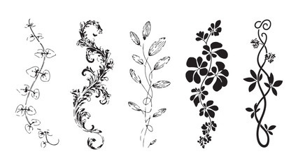 Artistic leaf and floral scroll borders set vector illustration black ink sketches on white paper © MSTALIMA