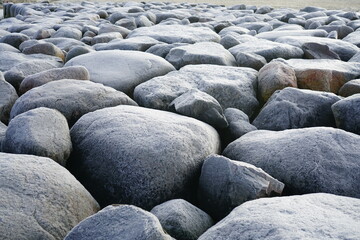 Findlinge am neuen See in der Brandenburger Lausitz