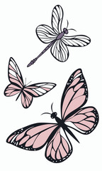 Elegant Butterfly and Dragonfly Illustration with Delicate Pink Accents.