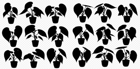 Fototapeta premium Silhouetted Anthurium Plants in Black Pots Multiple Angles Home Decor Interior Design Element Modern Houseplants Decoration Black and White silhouette