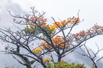 View of Los Glaciares National Park, El Chalten,Patagonia, Argentina.
