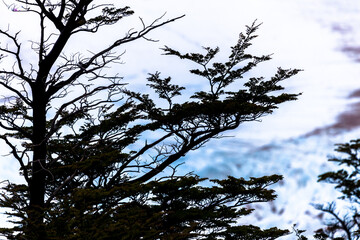 View of Los Glaciares National Park, El Chalten,Patagonia, Argentina.