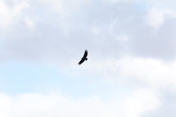 View of Los Glaciares National Park, El Chalten,Patagonia, Argentina.