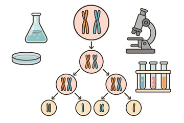 Graphic showing research concepts related to chromosomes with lab tools in a science setting during the day