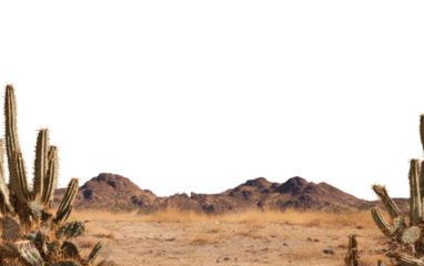 A desert landscape featuring cacti and mountains, evoking a sense of isolation and dramatic contrast.