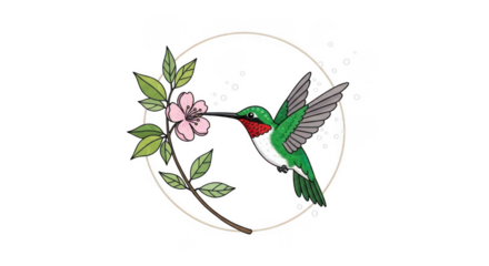 Ruby throated hummingbird feeding on pink flower within a circle with bubbles isolated on a transparent background