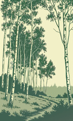 Serene Birch Forest Landscape with a Winding Path.