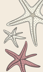 Starfish Illustration A Trio of Marine Wonders.