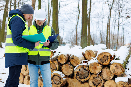 Forestry workers standing in front of a large stack of felled trees in a winter forest. Sale firewood for heating. Two men discussing the purchase dry logs orders during the cold season.