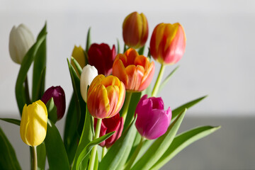 Strau&szlig; verschieden farbiger Tulpen als Stilleben