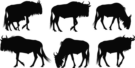 Wildebeest silhouette animal set showing walking and grazing poses, African safari wildlife vector illustration © Sumon Creative