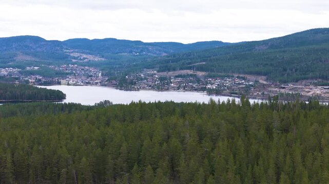 unbroken canopy evergreen forest seen panorama placid lake curves beside lakeside town norway aerials drone sweeping curving boreal landscape 