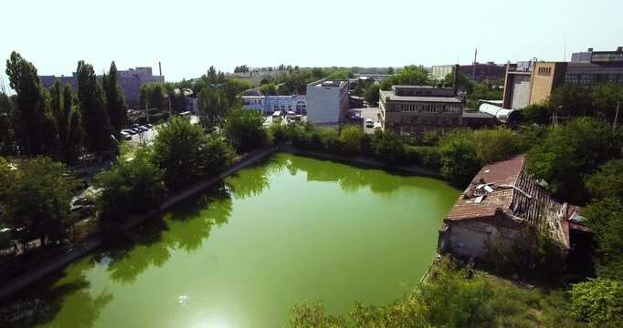 Zoom in. Beautiful green swamp next to the road.