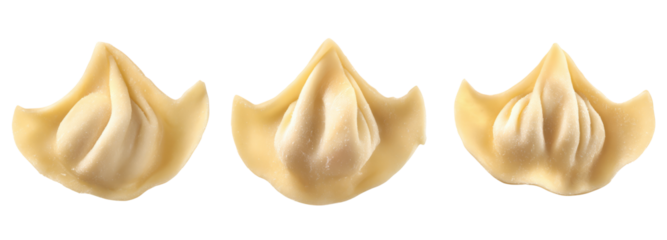 Dumpling preparation process kitchen food photography transparent background