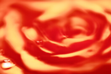 Orange Rose with Water Droplets  Macro Close-Up