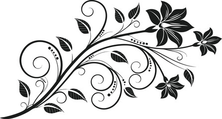 Ornamental design elements - a collection of ornate black and white floral vector elements. Each design should feature intricate swirls, curls, and botanical motifs such as leaves, vines, petals.
