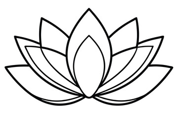 Botanical Lotus Lily Sketch, Hand Drawn Black and White Floral Art