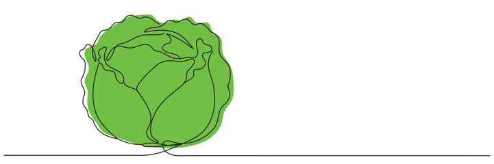 One continuous line drawing of cabbage, vector drawing of cabbage. Editable line