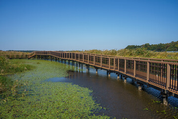 Fototapeta premium 川岸にかかった桟橋のある風景