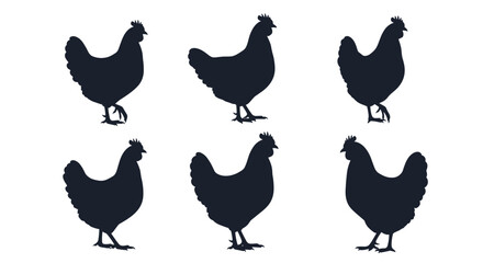 Fototapeta premium Group of six black silhouettes of hens or chickens shown in various standing and walking poses on a white background.