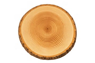 Tree trunk cross section showing natural annual rings and wood texture, a sustainable forestry concept, transparent background