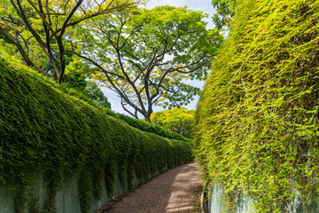 Fort Canning Park, Singapore