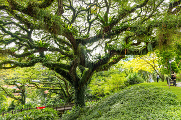 Fort Canning Park, Singapore