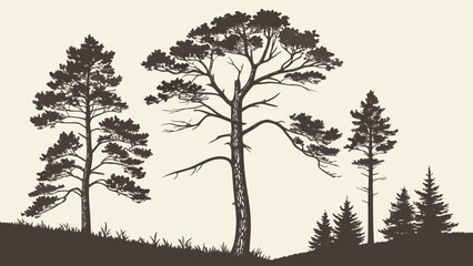 Fototapeta premium Silhouette of Diverse Trees in a Forest Landscape.