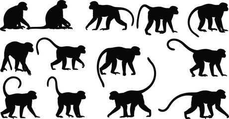 Obraz premium Monkey silhouette animal set with walking, sitting, and jumping poses, black wild primate vector illustration