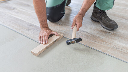 Floating floor work. The worker taps the board of vinyl plank to lock the click system. He is using...