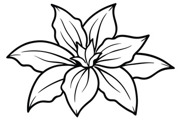 Minimalist Lobelia Botanical Line Drawing, Black and White Floral Sketch for Elegant Art