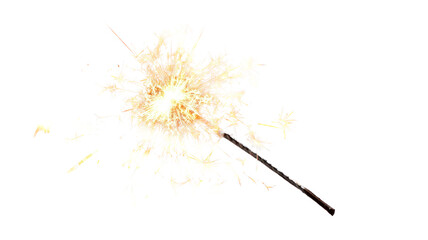 A macro illustration of a sparkling firework with explosive golden light trails glowing like a Christmas sparkler against a black background with flying seeds in the summer wind