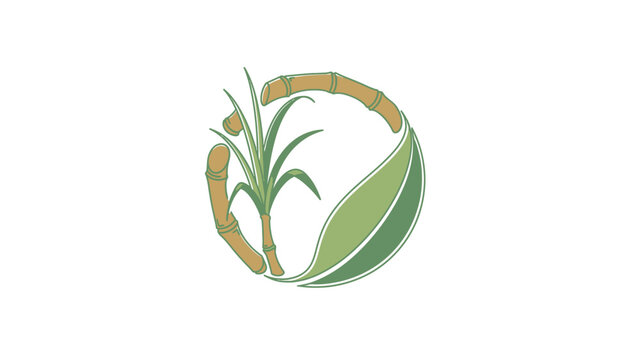 Bamboo plant with green leaves in circular arrangement