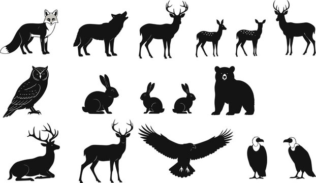 Wild animal silhouette collection featuring deer, wolf, bear, birds, and rabbit, black wildlife vector illustration set