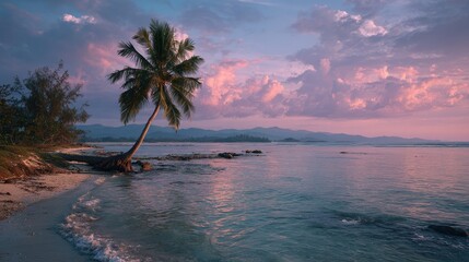 Palm tree on a sandy beach at sunset with pink clouds and calm water. Perfect for travel blogs, relaxation articles, or inspirational posters.