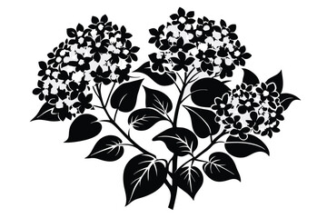 Lilac Blossom Stem Silhouette, Elegant Black and White Botanical Graphic Design