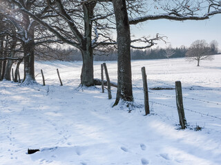 Winter Schnee Landschaft mit B&auml;umen und Zaun