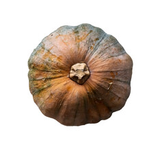 pumpkin on white background