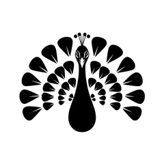 Stunning black peacock silhouette with spread feathers on white